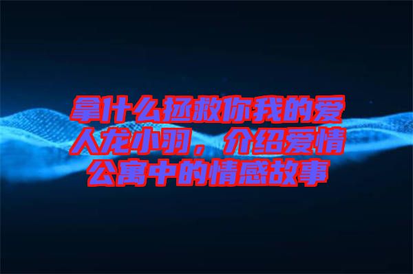 拿什么拯救你我的愛人龍小羽，介紹愛情公寓中的情感故事