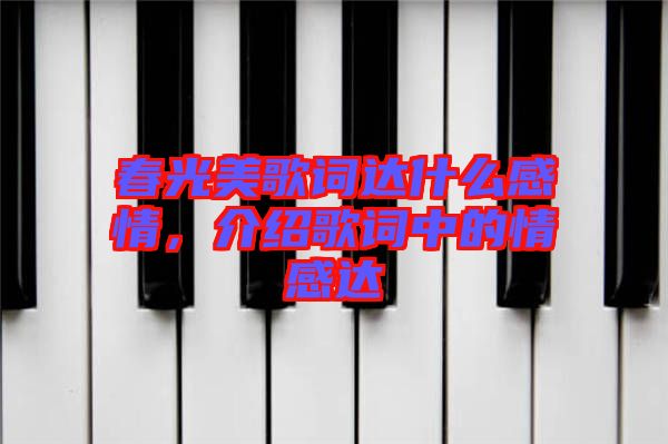 春光美歌詞達什么感情，介紹歌詞中的情感達