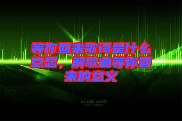 等你回來歌詞是什么意思，解歌曲等你回來的意義