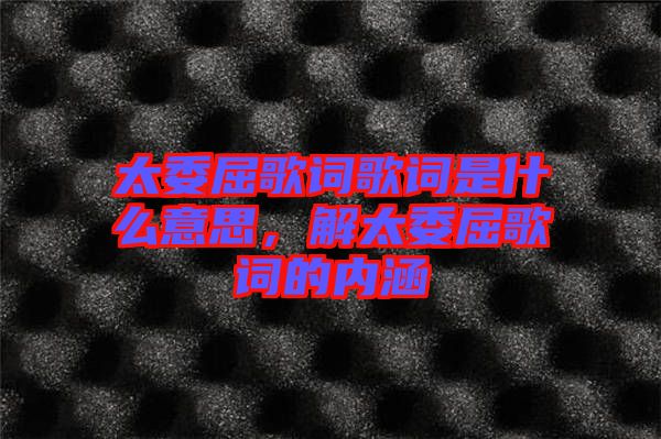 太委屈歌詞歌詞是什么意思，解太委屈歌詞的內(nèi)涵