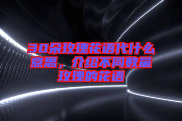 30朵玫瑰花語代什么意思，介紹不同數量玫瑰的花語