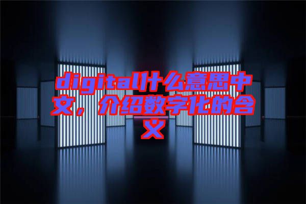 digital什么意思中文，介紹數字化的含義