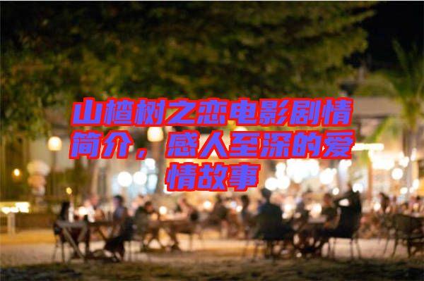 山楂樹之戀電影劇情簡(jiǎn)介，感人至深的愛情故事