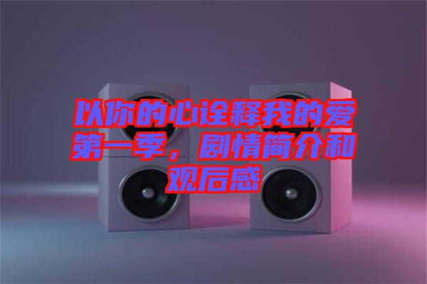 以你的心詮釋我的愛第一季，劇情簡介和觀后感