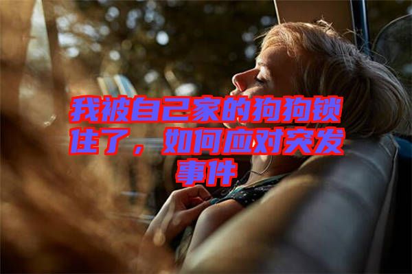 我被自己家的狗狗鎖住了，如何應對突發事件