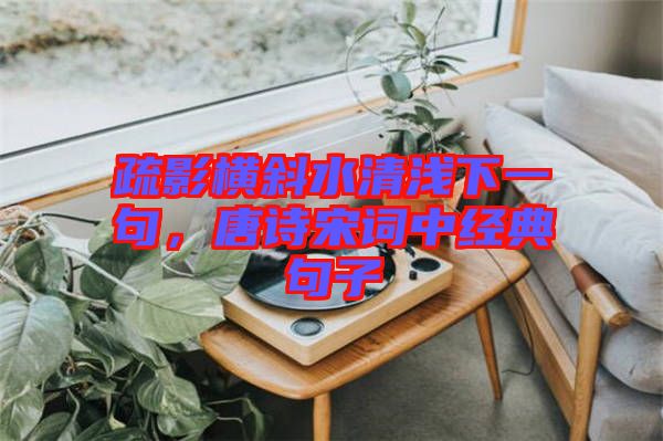 疏影橫斜水清淺下一句，唐詩宋詞中經(jīng)典句子