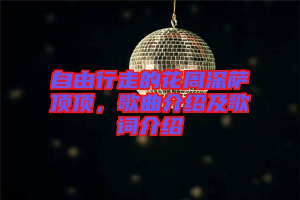 自由行走的花周深薩頂頂，歌曲介紹及歌詞介紹