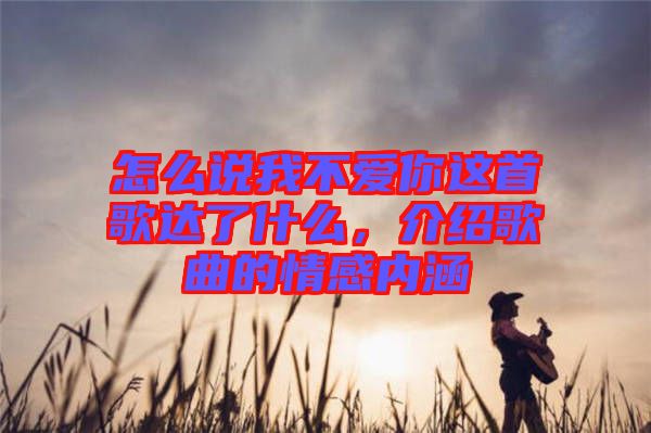 怎么說我不愛你這首歌達了什么，介紹歌曲的情感內涵