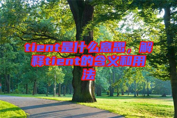 tient是什么意思，解釋tient的含義和用法