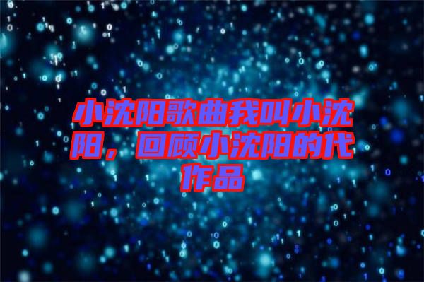 小沈陽歌曲我叫小沈陽，回顧小沈陽的代作品