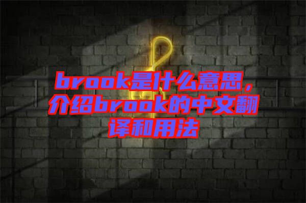 brook是什么意思，介紹brook的中文翻譯和用法