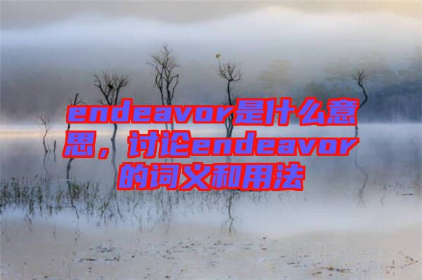 endeavor是什么意思，討論endeavor的詞義和用法