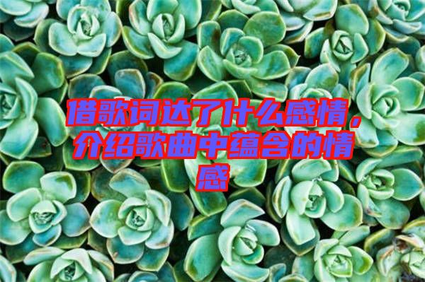 借歌詞達了什么感情，介紹歌曲中蘊含的情感