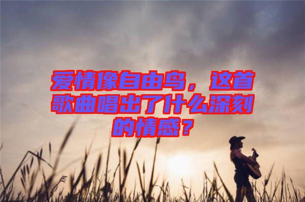 愛情像自由鳥，這首歌曲唱出了什么深刻的情感？