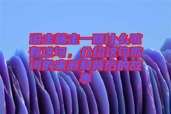 說走就走一回什么歌有這句，介紹這句歌詞的來源和背后的故事