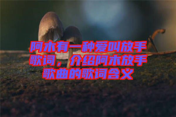 阿木有一種愛叫放手歌詞，介紹阿木放手歌曲的歌詞含義