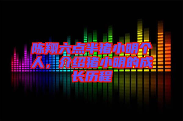 陳翔六點半豬小明個人，介紹豬小明的成長歷程