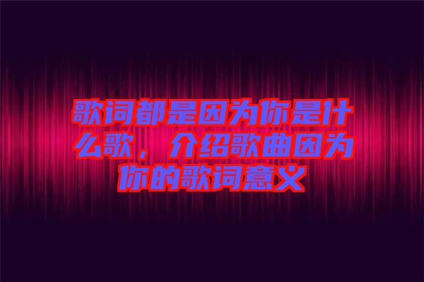 歌詞都是因為你是什么歌，介紹歌曲因為你的歌詞意義