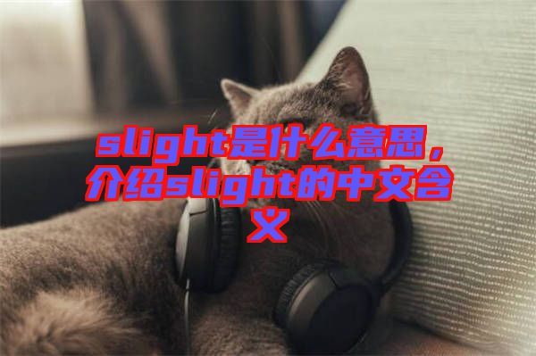 slight是什么意思，介紹slight的中文含義