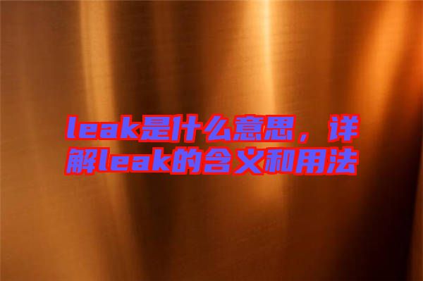 leak是什么意思，詳解leak的含義和用法