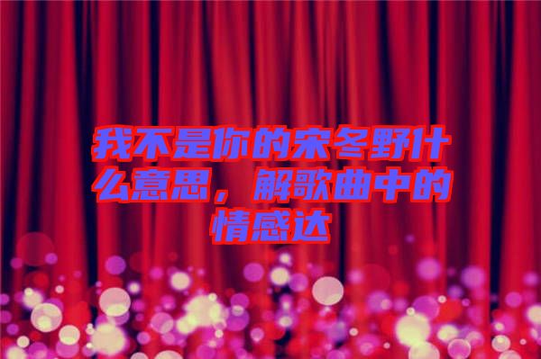 我不是你的宋冬野什么意思，解歌曲中的情感達