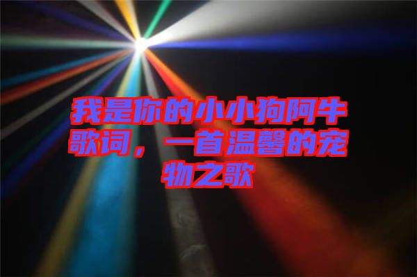 我是你的小小狗阿牛歌詞，一首溫馨的寵物之歌