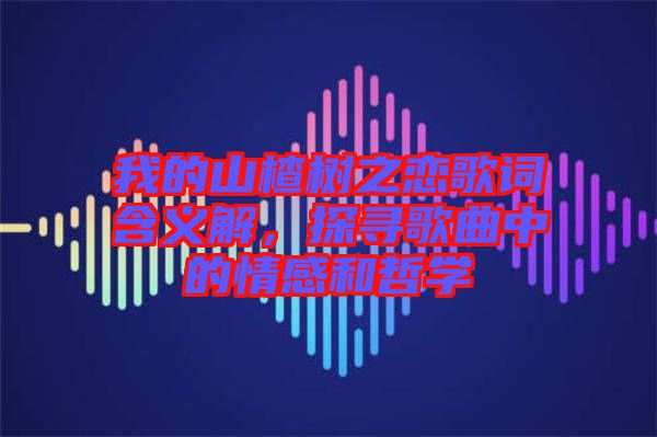 我的山楂樹之戀歌詞含義解，探尋歌曲中的情感和哲學(xué)