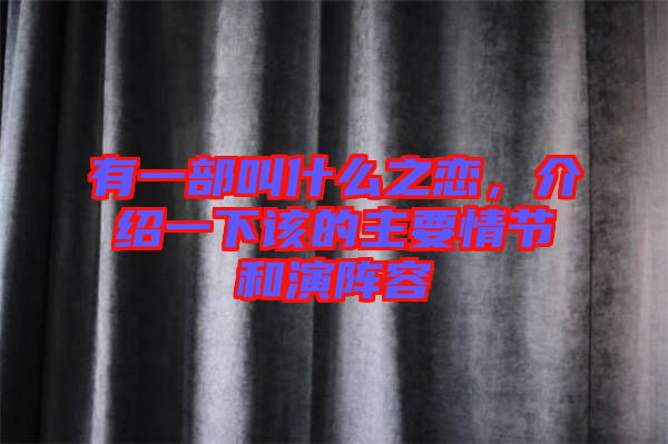 有一部叫什么之戀，介紹一下該的主要情節和演陣容