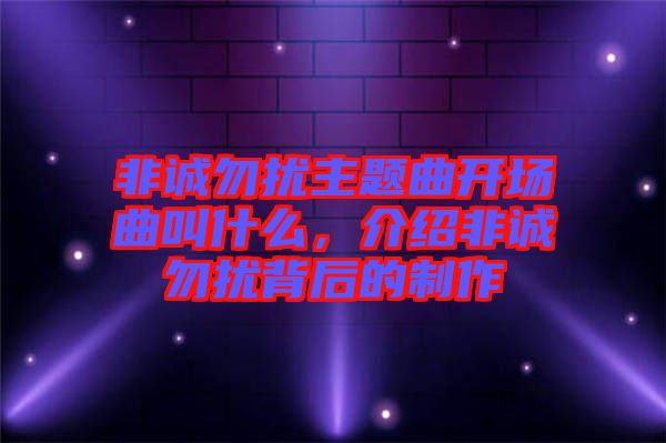 非誠勿擾主題曲開場曲叫什么，介紹非誠勿擾背后的制作