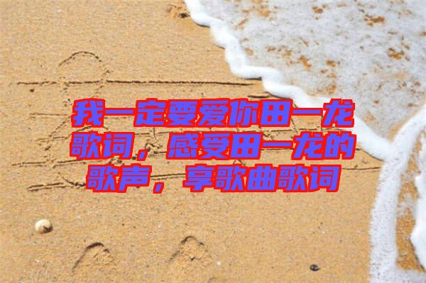 我一定要愛你田一龍歌詞，感受田一龍的歌聲，享歌曲歌詞