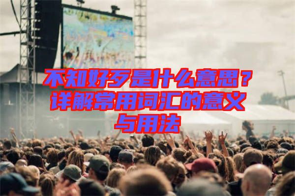 不知好歹是什么意思？詳解常用詞匯的意義與用法