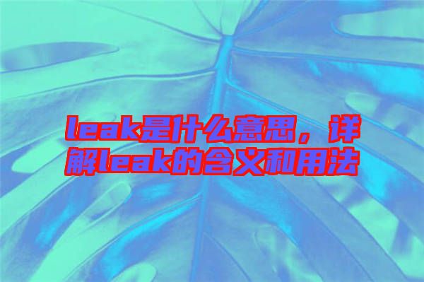 leak是什么意思，詳解leak的含義和用法