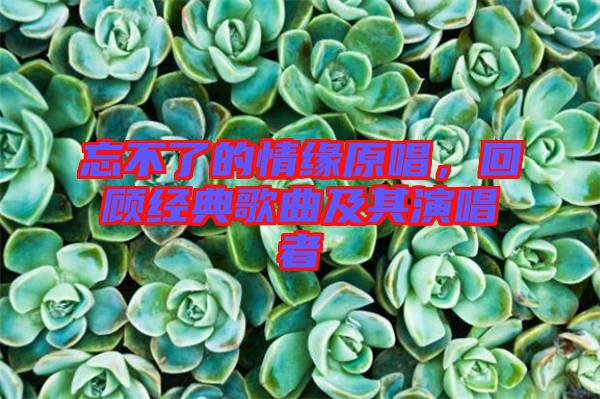 忘不了的情緣原唱，回顧經(jīng)典歌曲及其演唱者