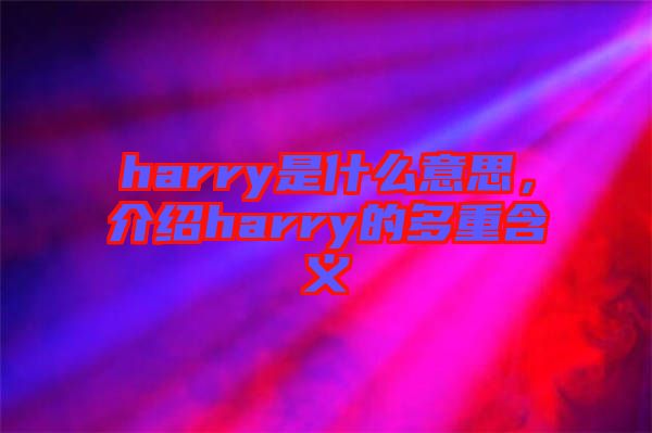 harry是什么意思，介紹harry的多重含義