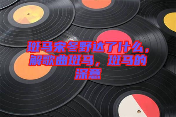 斑馬宋冬野達(dá)了什么，解歌曲斑馬，斑馬的深意