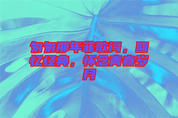 匆匆那年菲歌詞，回憶經(jīng)典，懷念青春歲月