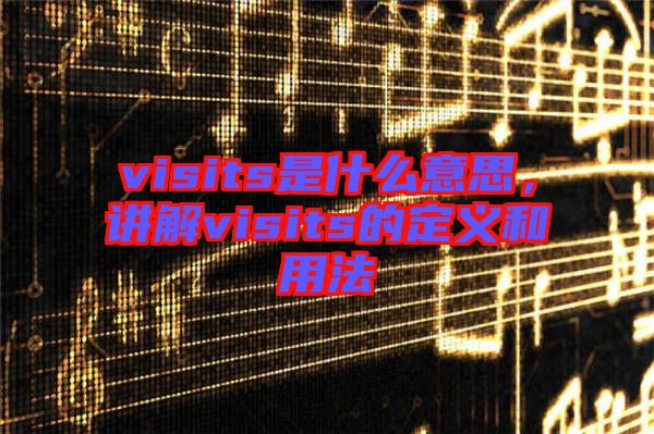 visits是什么意思，講解visits的定義和用法