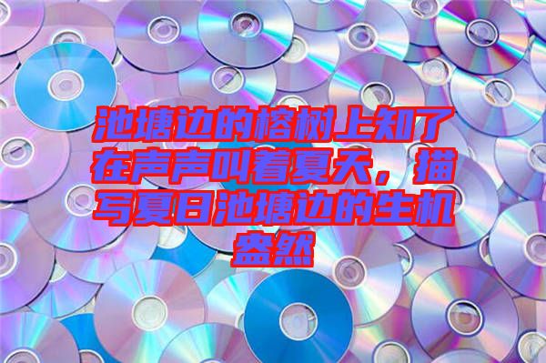 池塘邊的榕樹上知了在聲聲叫著夏天，描寫夏日池塘邊的生機盎然