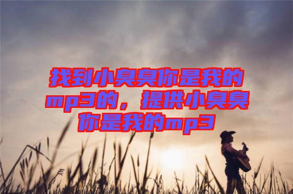 找到小臭臭你是我的mp3的，提供小臭臭你是我的mp3