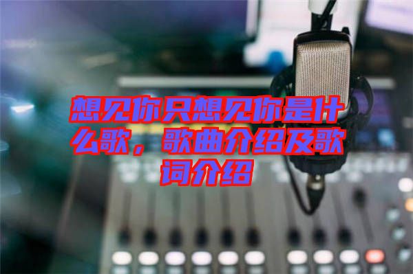 想見你只想見你是什么歌，歌曲介紹及歌詞介紹