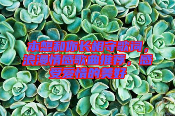 本想和你長相守歌詞，浪漫情感歌曲推薦，感受愛情的美好