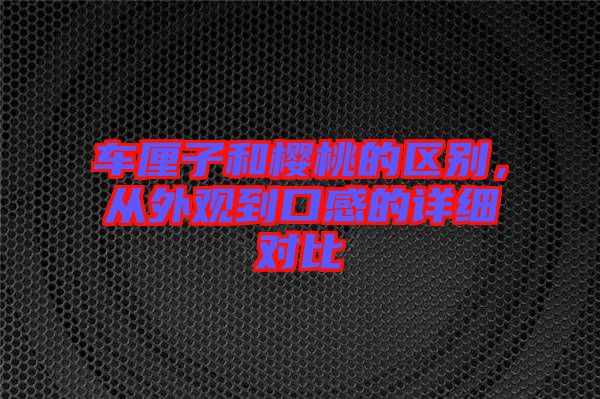 車厘子和櫻桃的區(qū)別，從外觀到口感的詳細對比