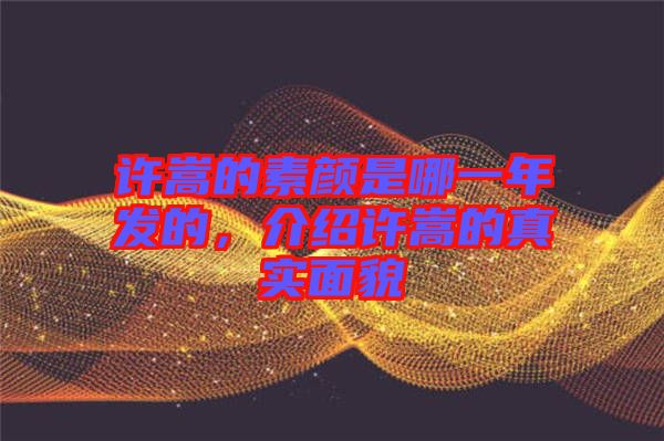 許嵩的素顏是哪一年發的，介紹許嵩的真實面貌