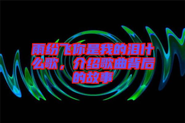 雨紛飛你是我的淚什么歌，介紹歌曲背后的故事