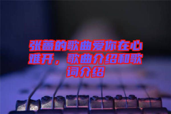 張薔的歌曲愛你在心難開，歌曲介紹和歌詞介紹