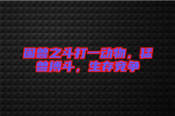 困獸之斗打一動物，猛獸搏斗，生存競爭