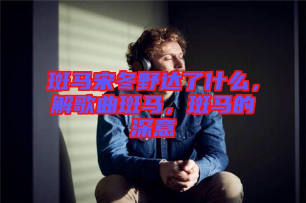 斑馬宋冬野達(dá)了什么，解歌曲斑馬，斑馬的深意