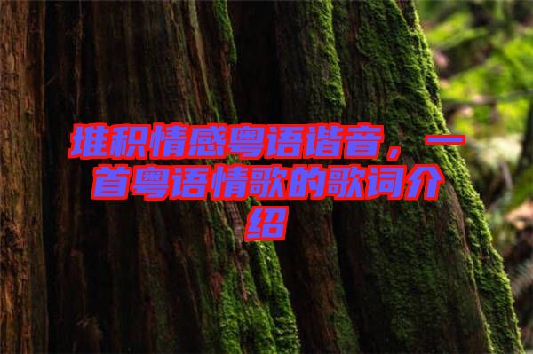 堆積情感粵語諧音，一首粵語情歌的歌詞介紹