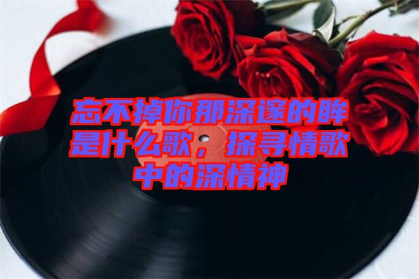 忘不掉你那深邃的眸是什么歌，探尋情歌中的深情神