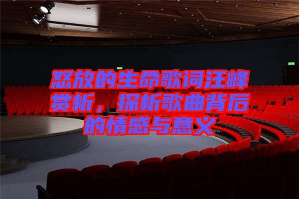 怒放的生命歌詞汪峰賞析，探析歌曲背后的情感與意義